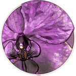 Cook Islands - 2026 - 5 Dollars - Orchid (bionics series) 1oz silver