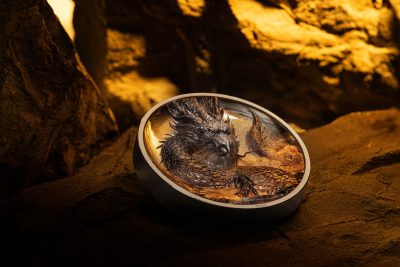 Cook Islands - 2026 - 20 Dollars - Thunder Dragon 3oz silver