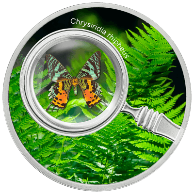 Cameroon - 2024 - 500 Francs - CHRYSIRIDIA RHIPHEUS The Secret Garden Butterflies