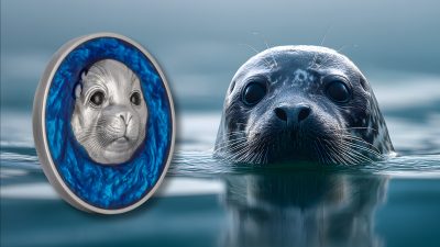 Cameroon - 2026 - 1000 Francs - Seal UHR 1oz silver with enamel (Above the Surface series)