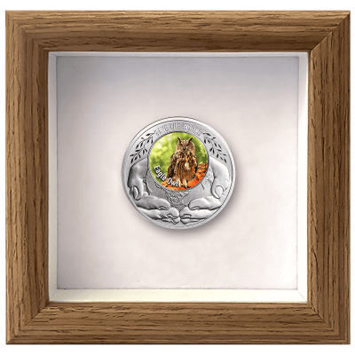 Cameroon - 2026 - 500 Francs – Eagle Owl (Save the World series)