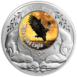 Cameroon - 2026 - 500 Francs – White Taled Eagle 1/2oz silver (Save the World series)