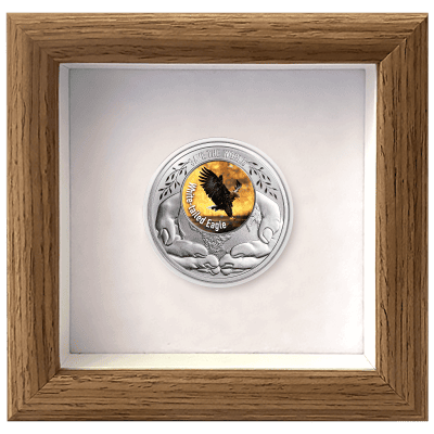 Cameroon - 2026 - 500 Francs – White Taled Eagle 1/2oz silver (Save the World series)