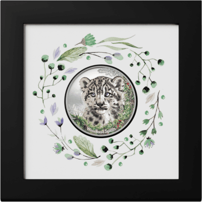 Mongolia - 2026 - 500 Togrog - Woodland Snow Leopard 1oz silver