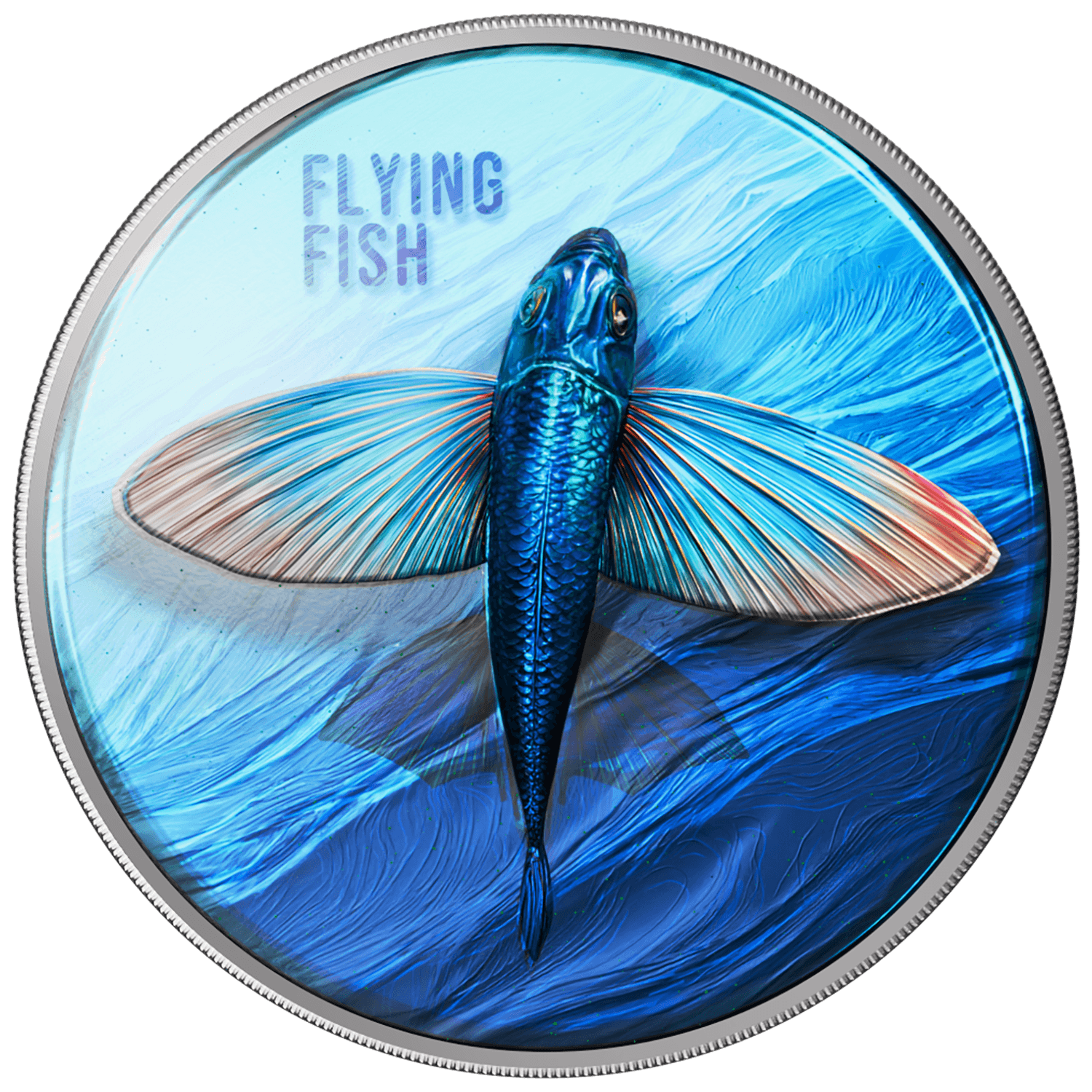 Cameroon - 2026 - 1000 Francs – Flying Fish 1oz silver