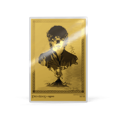 Niue - 2026 - 2 or 50 Dollars - Frodo's Journey (Lord of the Rings series) 5gr silver or gold chase box