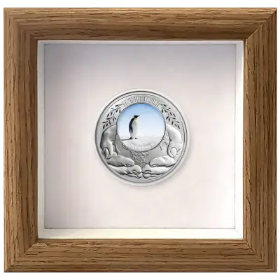 Cameroon - 2026 - 500 Francs – Emperor Penguin 1/2oz silver (Save the World series)