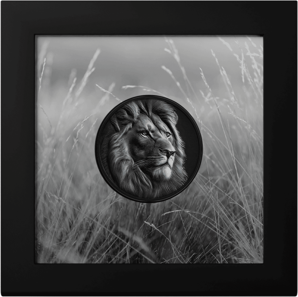 Cook Islands - 2026 - 5 Dollars - Lion (Black & White series) 1oz silver
