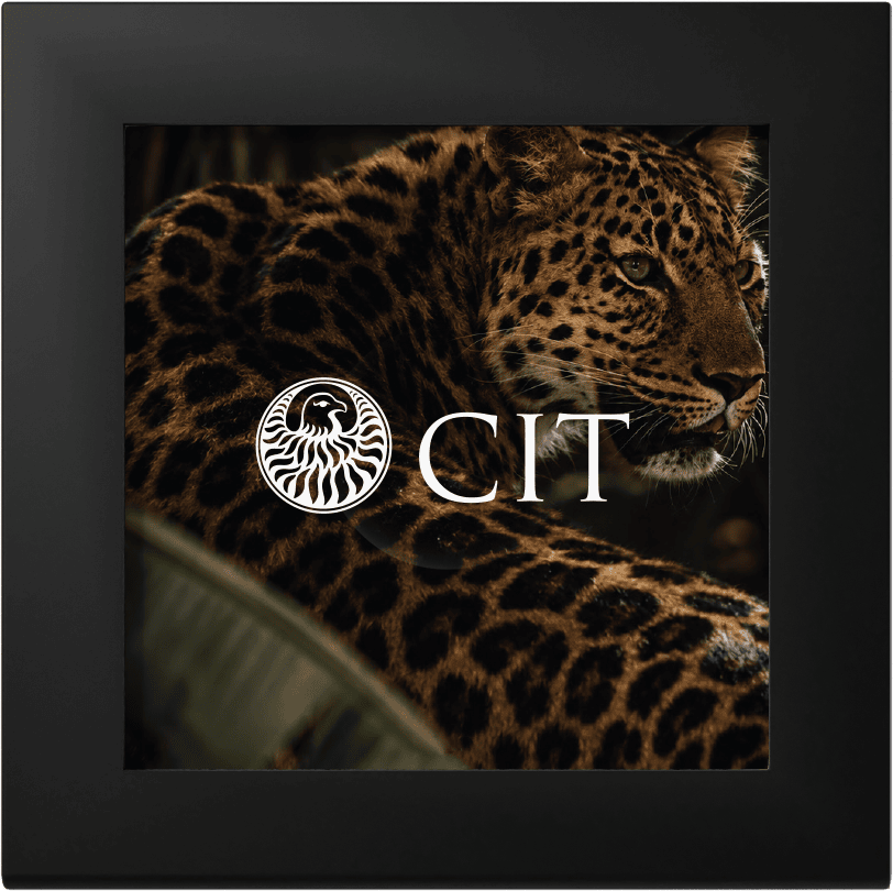Cook Islands - 2026 - 5 Dollars - Leopard 0.5gr gold (incl box) (Barre de Luxe series)